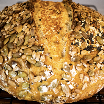 A Knead to Bake SOURDOUGH FOCCACIA second overview