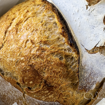 A Knead to Bake SOURDOUGH MILK BREAD second slice