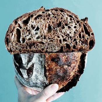 Abraham Chocolate / cacao / cranberry sourdough  first overview