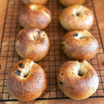 Abraham Sourdough bagels  first overview