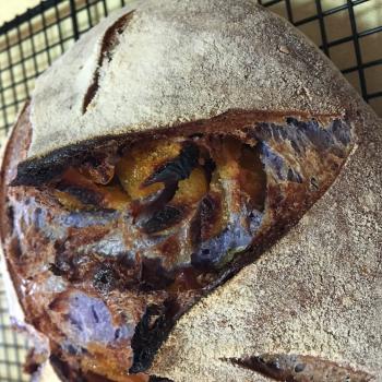 Adaline recipe