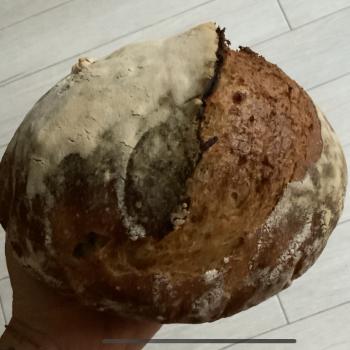 Adamów 2020 recipe