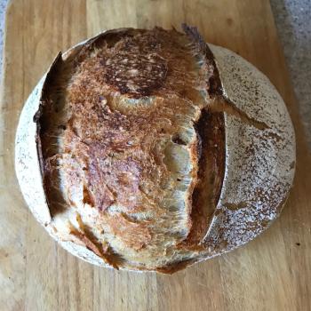 Albert Bread first overview