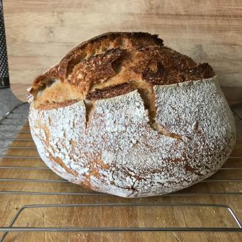Albert Bread second overview