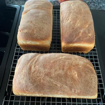 Alice’s starter Bread second overview