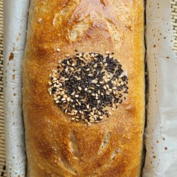 Alpha Sourdough Tin Loaf first overview