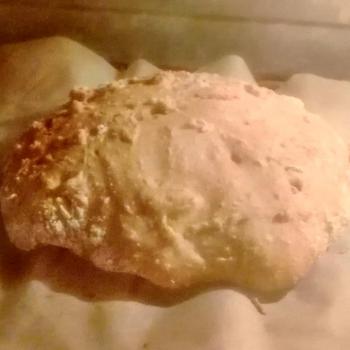Ancient Farreus Ancient bread second overview