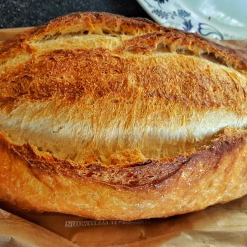 Anubis   hard rolls and batards   about everything i bake  second slice