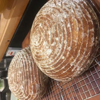 Archibald Country breads first overview