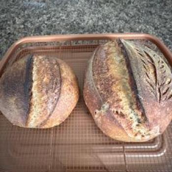 Arthur Home loaf first overview