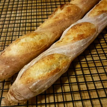 Audrey Junior Baguettes  first overview