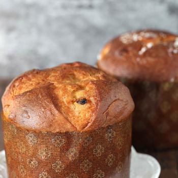 Autumn Soft bun, challah bun, panettone, malted grain sourdough first slice
