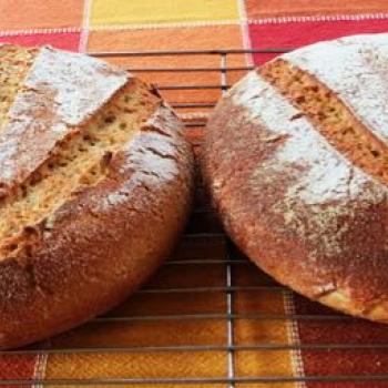 Barb Kamut Sourdough first overview
