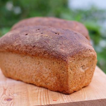 Bear Bread first overview