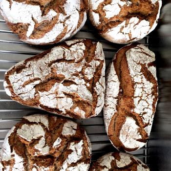 Beesee  Different breads second overview