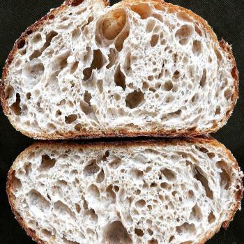 Bella Bagels,SorghumPorridge, Multigrains&Spelt. Freshly Milled RedFife&Rye second overview