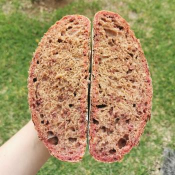 Betty Pan con remolacha first overview