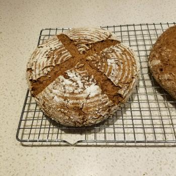 Boomerang  Spelt bread with wheatberries, flax, rolled oats first overview