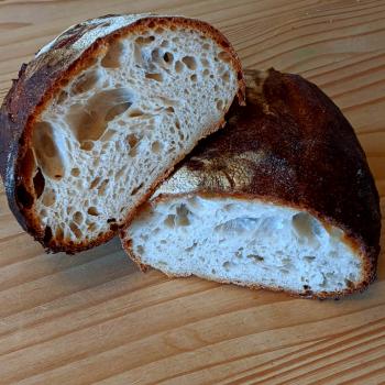 Boris White sourdough first overview