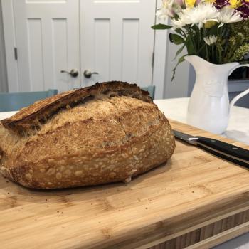 Boxwood Brad Bread first overview