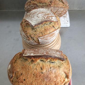 Breadtex  Bread first overview