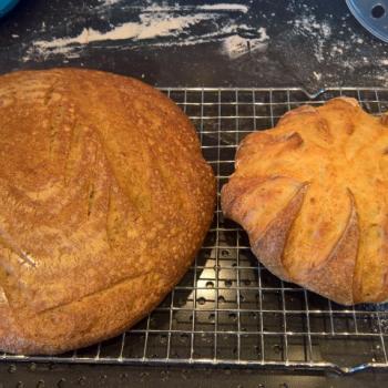 Brød Mor Bread first overview