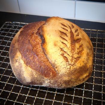 Brød Mor first overview