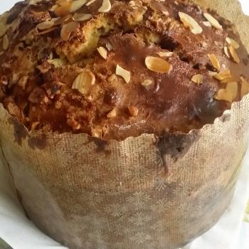 Bubbles Babka first overview