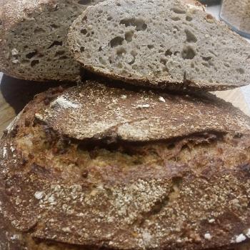 Bubbles Buckwheat with toasted groats first overview