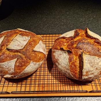 Bubbles pain au levain first overview
