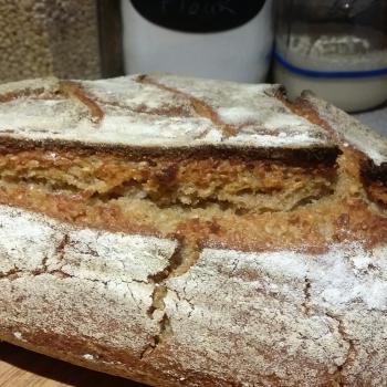 Bubbles sesame bread first overview