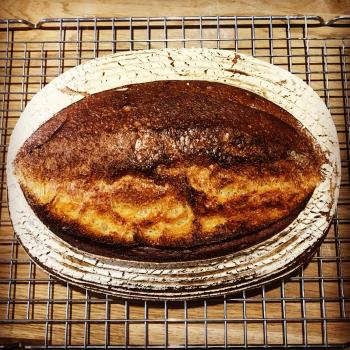 Bubbles White sourdough loaf second overview
