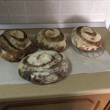 Bubbly Bread second overview