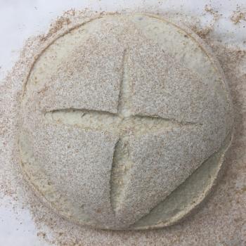 Cambio Edison Wheat Bread second slice