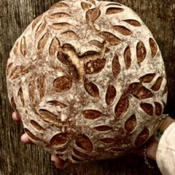 Canyon Bread  Sourdough Boyle  first overview