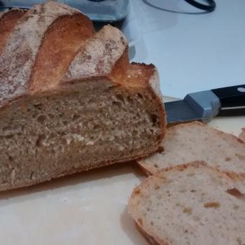 Catherine's Recovery Starter Sourdough loaf second slice