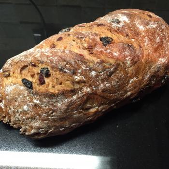 Cavana Cavan multi seed. second slice