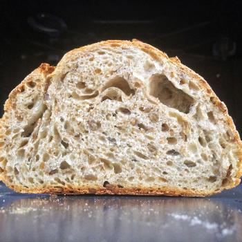 Ceres All kind of bread, pizza, etc. first overview