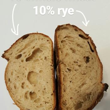 Charles  Tartine Style Country Sourdough  second slice