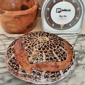 Darth sourness Chocolate stout and walnut sourdough first overview