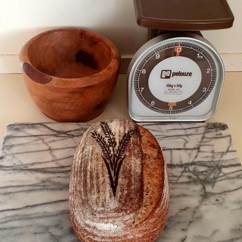 Darth sourness Chocolate stout and walnut sourdough second overview