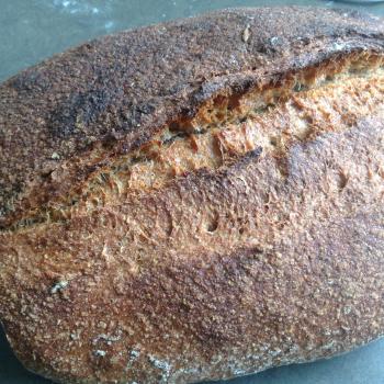 Desem Wholewheat first overview