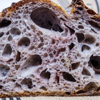 Didi Rosie, "Crazy bake", Raspberry temptation first slice