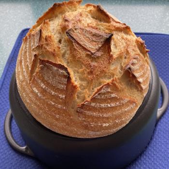 Dirkje just a test bread first overview
