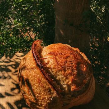 Doughst Bread first overview