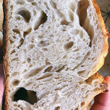 Doughst Bread second overview