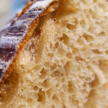 Dr Kananga Sourdough St Lucia first overview