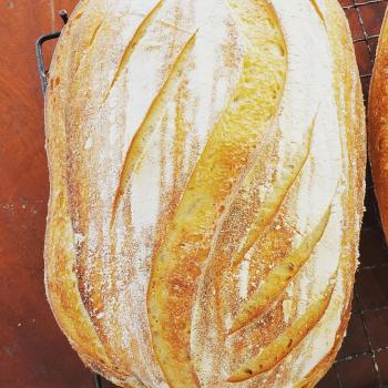 Dr Kananga Sourdough St Lucia second overview