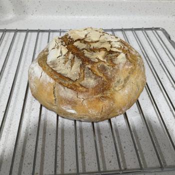 Eli Sourdough bread second overview