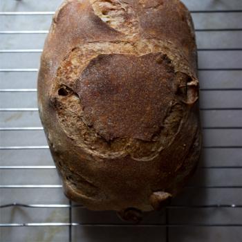 Enzo the Third Normandy Apple bread, 50% whole wheat batard, walnut-cranberry sourdough, olive sourdough bread first overview
